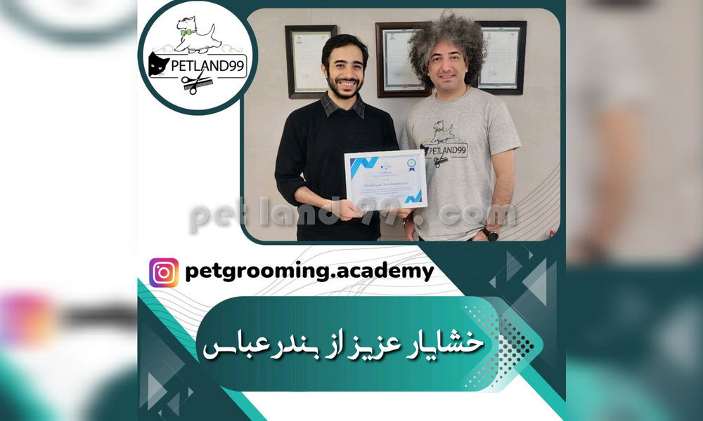 نمونه مدرک کارآموزی خشایار عزیز از بندرعباس