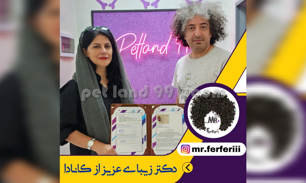 نمونه مدرک کارآموزی دکتر زیبای عزیز از کانادا