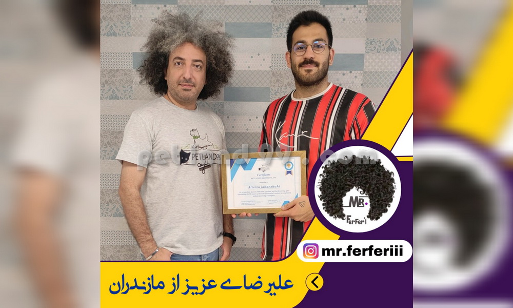 نمونه مدرک کارآموزی علیرضای عزیز از مازندران