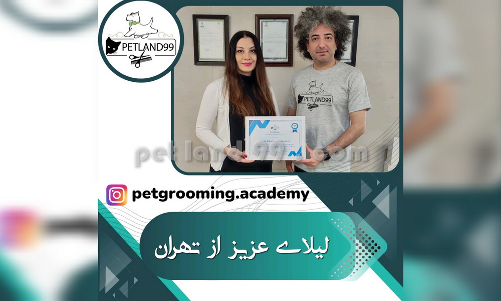 نمونه مدرک کارآموزی لیلای عزیز از تهران