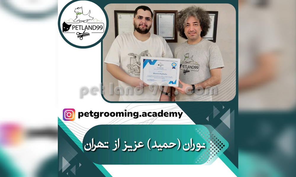نمونه مدرک کارآموزی نوران (حمید) عزیز از تهران